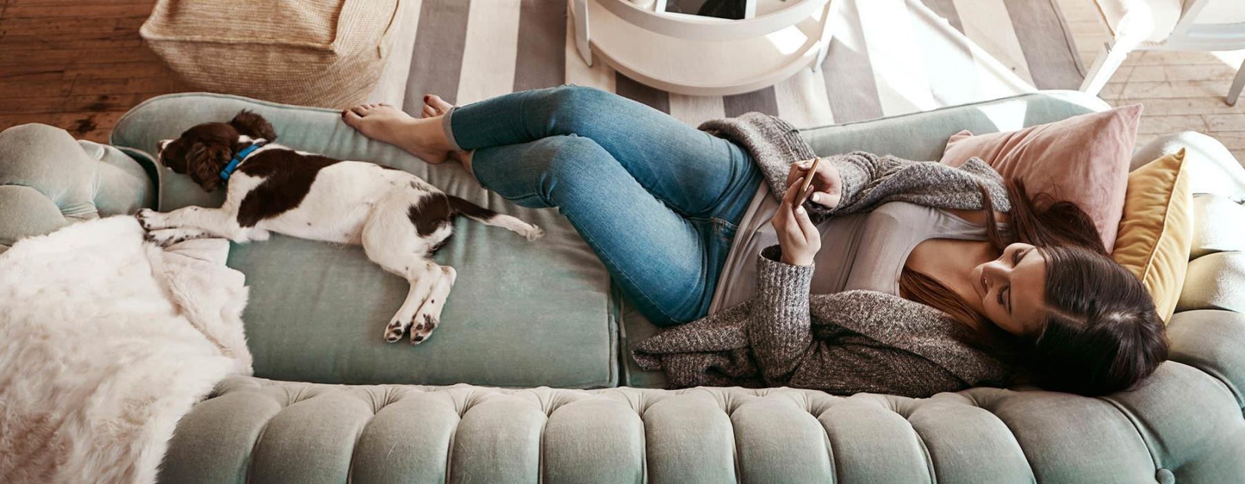 overhead view of  a woman texting as she lies on a couch with a dog at her feet