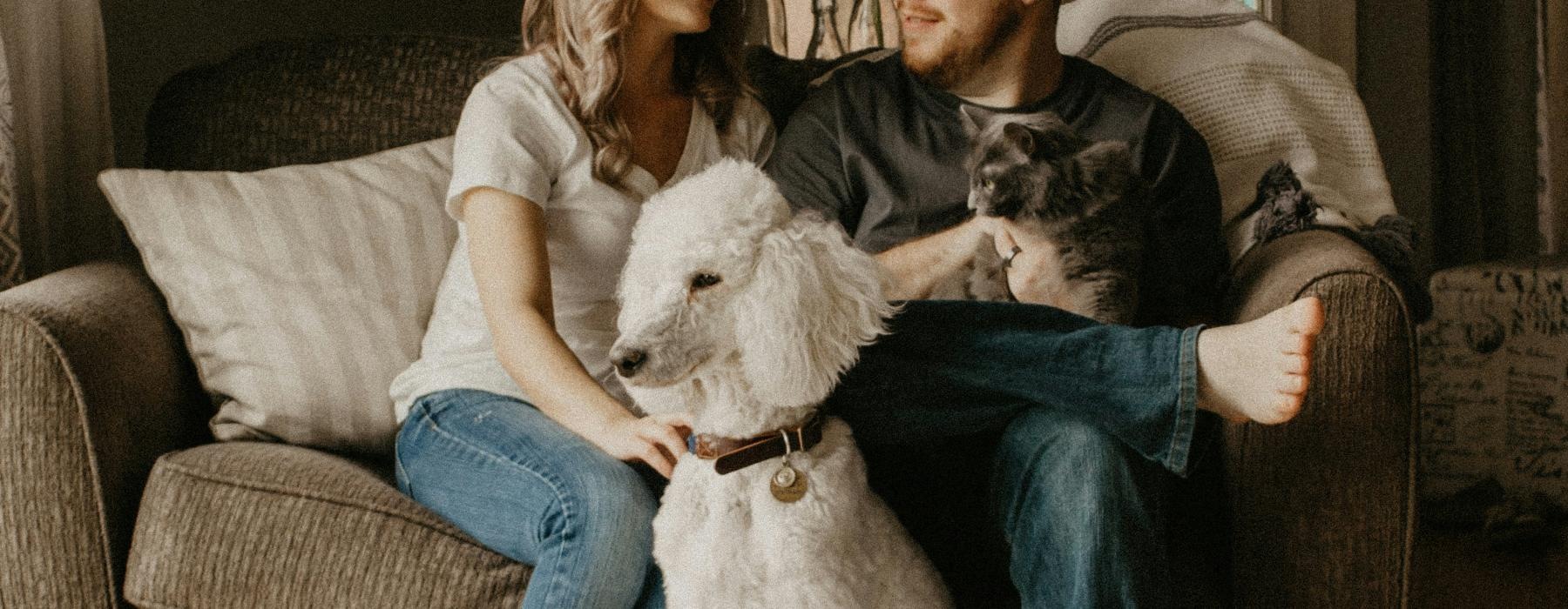 people sitting with a dog